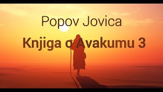 Popov Jovica  Knjiga o Avakumu 3 [upl. by Sesiom]