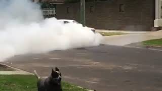 LS SWAPPED GEMINI T400 BURNOUT IN MEXICO  LEGLESS BURNOUTS [upl. by Lavina]