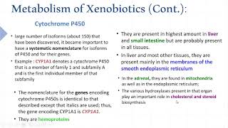 Xenobiotics metabolism [upl. by Kemppe211]