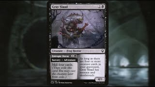 Random Card Talkin  Gray Slaad amp Entropic Decay [upl. by Asiaj]