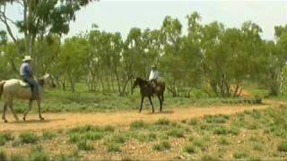 West Leichhardt Cattle Station Australian Travel Video Guide [upl. by Silberman]