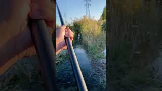 Hook Fishing with a Massive Rod – Catching Giants fishing [upl. by Kelby772]