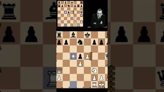 Alekhine korban menteri Skakmat alexanderalekhine skakmat grandmastercatur [upl. by Hoisch239]