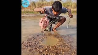 🐓Cickcken Wala Hook Fishing Video🐔 big mangur fish 🐬 ichickenfishing fish fishing shorts [upl. by Licna]