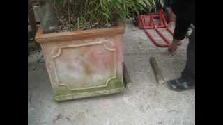 Astuce comment deplacer gros pot de 100 kgs  DIY move 200lbs flower pot [upl. by Kalk]