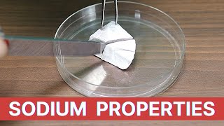 Physical and Chemical Properties of Sodium Metal  Chemistry [upl. by Botsford]