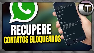 COMO RECUPERAR CONTATOS BLOQUEADOS E APAGADOS NO WHATSAPP  ATUALIZADO [upl. by Lorelle]