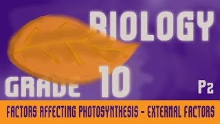 Photosynthesis  Factors Affecting Photosynthesis External amp Internal Factor  Overview  Part 6 [upl. by Assenar]