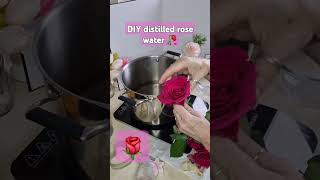 DIY Rose Water Easy amp Affordable [upl. by Fairweather]