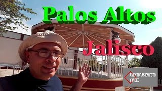 Palos Altos Jalisco [upl. by Farand947]