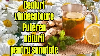 REMEDII NATURALE ÎNTRO CEAȘCĂ CEAIURI PENTRU SĂNĂTATE [upl. by Hairahs477]