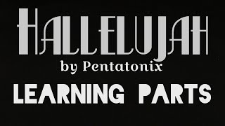 Hallelujah by Pentatonix Learning Parts [upl. by Atikahc]