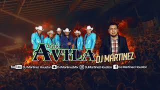 Los Avila Mix 😍  DJ Martinez Houston [upl. by Sigismondo]