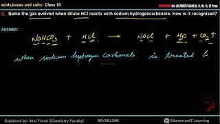 Name the gas evolved when dilute HCl reacts with sodium hydrogencarbonate How is it recognised [upl. by Zipah]