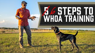 The Complete Guide To Whoa Training  Every Single Step [upl. by Sremlahc]