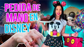 PROPUESTA DE MATRIMONIO EN DISNEY  ME ROBARON 17 Mar 2018 [upl. by Hola528]