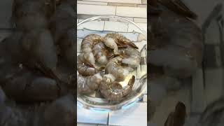 Trying COLOSSAL JUMBO SHRIMP dcbanks5625 [upl. by Alekram676]