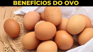 BENEFÍCIOS DO OVO PARA CACHORRO [upl. by Ocsisnarf344]