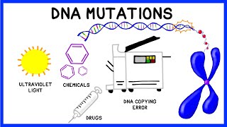 DNA Mutations [upl. by Nisaj]