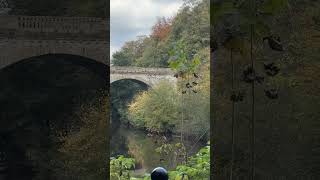 The magical Durham part 1 nature naturebeauty naturelovers everyone highlights durham uk [upl. by Tomasz]