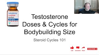 Testosterone Cycle Basics  Anabolic Bodybuilding [upl. by Aihsened653]