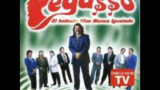 grupo pegasso yo comence la broma [upl. by Love331]