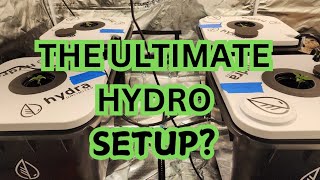 The Ultimate MEDIALESS hydroponic system for MINSTER ROOTS HydraUnlimited [upl. by Godred]