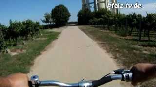 Mit dem Rad durch die Pfälzer Weinberge bei Duttweiler  Gefilmt mit der GoPro [upl. by Hendel]