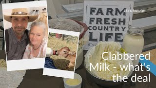 What the Heck is Clabbered Milk [upl. by Yelha]