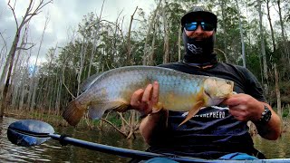 Saratoga Fishing Hinze Dam [upl. by Tenney459]