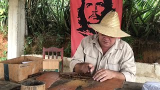 Cuban Master shows how to roll Cigar Montecristo No 4 in the Tobacco Field of Viñales Cuba [upl. by Ryle]