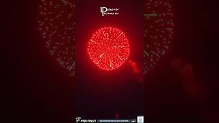 Top 6 most beautiful FIREWORKS shells 2024 shorts fireworks experiment pyro [upl. by Dewie437]