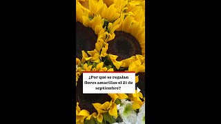 ¿Por qué se regalan flores amarillas el 21 septiembre [upl. by Madelin]