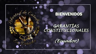 Garantías Constitucionales 🇪🇨 [upl. by Aurie]