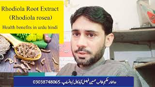 Rhodiola Root Extract Rhodiola Rosea health benefits in urdu hindi erectiledysfunction hakeem [upl. by Wiggins]