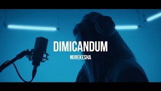 Nurekesha  Dimicandum  Curltai Live [upl. by Yemrots249]