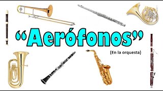 AERÓFONOS Familia de instrumentos de aire viento [upl. by Nissie]