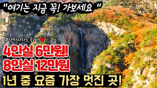 지금이 1년 중 가장 아름다울 때라 꼭 가야하는 4인 6만원 가성비가 아주 좋은 숙소ㅣ경치가 너무 멋있고 깨끗한 숙소 추천ㅣ너무 만족해서 자신있게 추천하는 여행지ㅣ가을여행 [upl. by Germin]