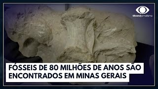 Fósseis de 80 milhões de anos são encontrados em Minas  Bora Brasil [upl. by Sunny]