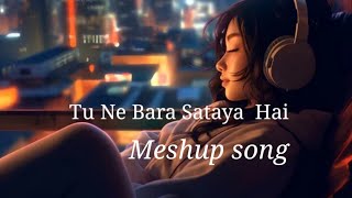 Tu Ne Bara Sataya Hai Slowed Reverb Alone Lofi lover songs remix mashup song ❣️🎶 Alone Lofi [upl. by Kevyn]