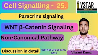 wnt signaling Pathway  wnt non canonical pathway  wnt βCatenine signaling Pathway [upl. by Carrnan876]