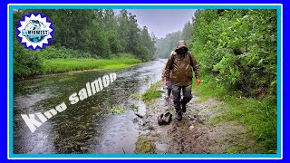 What its REALLY Like Fishing in Alaska Without a Guide [upl. by Omixam]