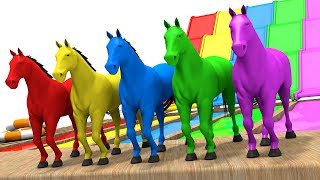 Learn Colors with Horse  Colors Learning Videos for Children  Animation for Kids [upl. by Diane18]