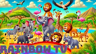 Wild Safari Adventure Fun African Animal Song for Kids [upl. by Sherourd]