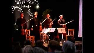 Quatuor Sine Nomine  Live festival les Musicaves 2010 [upl. by Morel78]