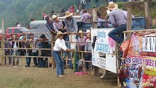 Montas del Rancho Las Jacarandas  3 de mayo 2019 Apantlazol Tlanchinol Hgo [upl. by Auqinaj]