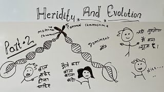 heredity and evolution class 10 part 2 GKP  class 10 science chapter 9 heredity and evolution [upl. by Adelric]