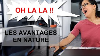 AVANTAGES EN NATURE  vie professionnellefr [upl. by Kaasi]