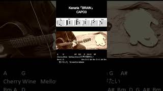 Kanaria「BRAIN」ギターコード【弾き語りサビ練習用歌詞】Shorts [upl. by Zaraf]