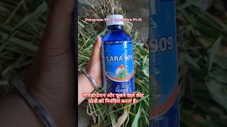 Lara 909 uses  Chlorpyriphos 50  Cypermethrin 5 EC shorts farming agriculture trending [upl. by Atwood]